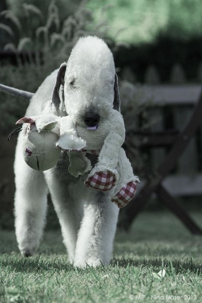 2013-07-23 Svet-0416-4-1.jpg